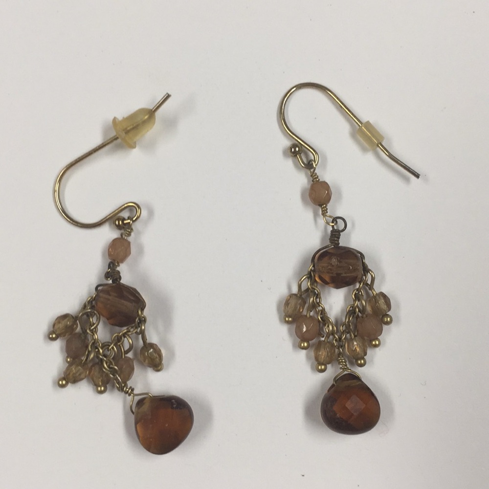 Brown Earrings